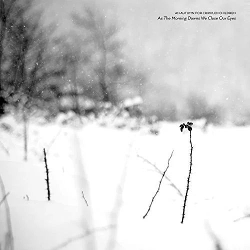 2026_05_11_3425036