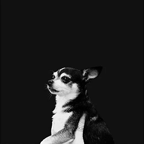 2026_05_11_3487828